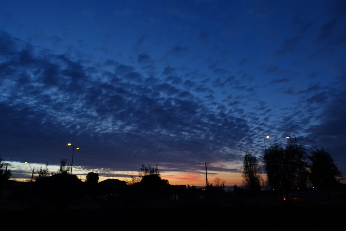 celebrar y compartir